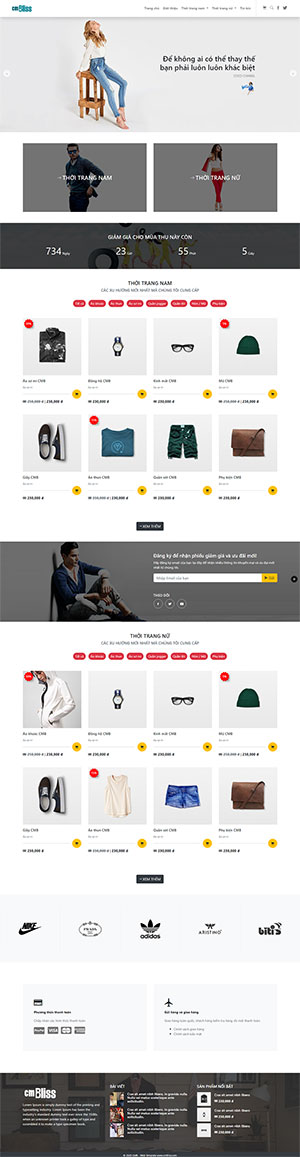 thiết kế web bán hàng vĩnh phúc